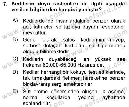 Hayvan Davranışları ve Refahı Dersi 2024 - 2025 Yılı Yaz Okulu Sınav Soruları 7. Soru