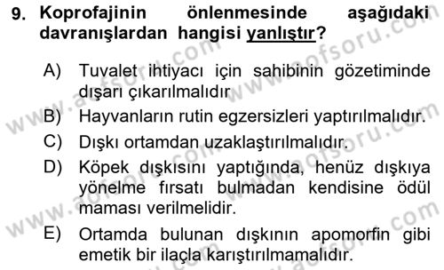Hayvan Davranışları ve Refahı Dersi 2024 - 2025 Yılı Yaz Okulu Sınav Soruları 9. Soru