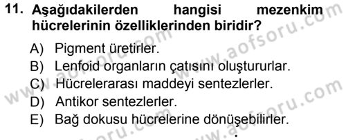 Temel Veteriner Histoloji ve Embriyoloji Dersi Ara Sınavı Deneme Sınav Soruları 11. Soru