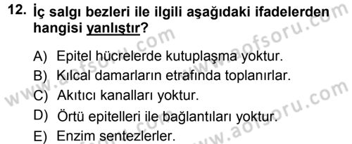 Temel Veteriner Histoloji ve Embriyoloji Dersi 2012 - 2013 Yılı (Vize) Ara Sınav Soruları 12. Soru