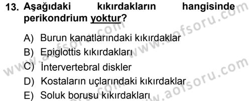 Temel Veteriner Histoloji ve Embriyoloji Dersi Ara Sınavı Deneme Sınav Soruları 13. Soru