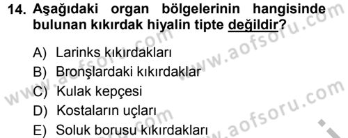 Temel Veteriner Histoloji ve Embriyoloji Dersi 2012 - 2013 Yılı (Vize) Ara Sınav Soruları 14. Soru