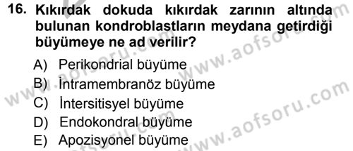 Temel Veteriner Histoloji ve Embriyoloji Dersi Ara Sınavı Deneme Sınav Soruları 16. Soru