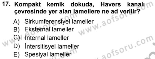 Temel Veteriner Histoloji ve Embriyoloji Dersi Ara Sınavı Deneme Sınav Soruları 17. Soru