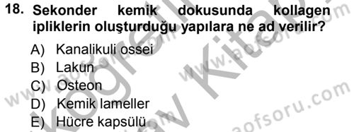 Temel Veteriner Histoloji ve Embriyoloji Dersi 2012 - 2013 Yılı (Vize) Ara Sınav Soruları 18. Soru