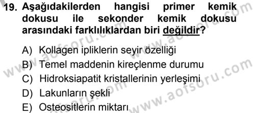 Temel Veteriner Histoloji ve Embriyoloji Dersi Ara Sınavı Deneme Sınav Soruları 19. Soru