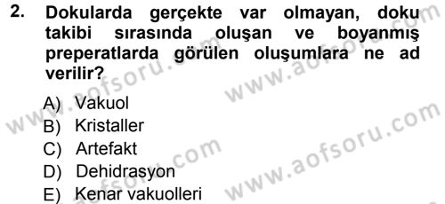Temel Veteriner Histoloji ve Embriyoloji Dersi 2012 - 2013 Yılı (Vize) Ara Sınav Soruları 2. Soru