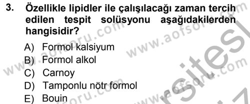 Temel Veteriner Histoloji ve Embriyoloji Dersi 2012 - 2013 Yılı (Vize) Ara Sınav Soruları 3. Soru
