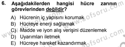 Temel Veteriner Histoloji ve Embriyoloji Dersi Ara Sınavı Deneme Sınav Soruları 6. Soru