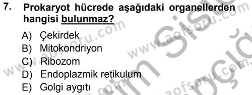 Temel Veteriner Histoloji ve Embriyoloji Dersi Ara Sınavı Deneme Sınav Soruları 7. Soru