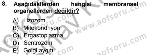 Temel Veteriner Histoloji ve Embriyoloji Dersi Ara Sınavı Deneme Sınav Soruları 8. Soru