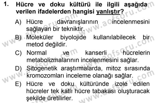 Temel Veteriner Histoloji ve Embriyoloji Dersi 2012 - 2013 Yılı (Final) Dönem Sonu Sınav Soruları 1. Soru