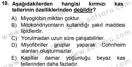 Temel Veteriner Histoloji ve Embriyoloji Dersi 2012 - 2013 Yılı (Final) Dönem Sonu Sınav Soruları 10. Soru