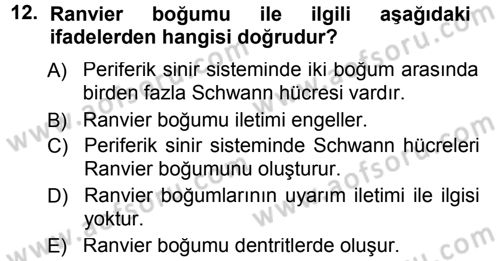 Temel Veteriner Histoloji ve Embriyoloji Dersi 2012 - 2013 Yılı (Final) Dönem Sonu Sınav Soruları 12. Soru