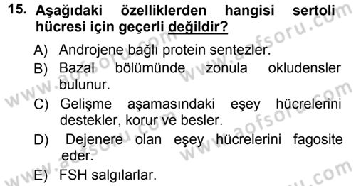 Temel Veteriner Histoloji ve Embriyoloji Dersi 2012 - 2013 Yılı (Final) Dönem Sonu Sınav Soruları 15. Soru