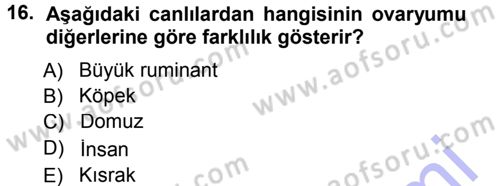 Temel Veteriner Histoloji ve Embriyoloji Dersi 2012 - 2013 Yılı (Final) Dönem Sonu Sınav Soruları 16. Soru