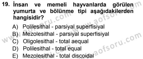 Temel Veteriner Histoloji ve Embriyoloji Dersi 2012 - 2013 Yılı (Final) Dönem Sonu Sınav Soruları 19. Soru
