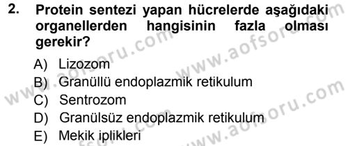 Temel Veteriner Histoloji ve Embriyoloji Dersi 2012 - 2013 Yılı (Final) Dönem Sonu Sınav Soruları 2. Soru
