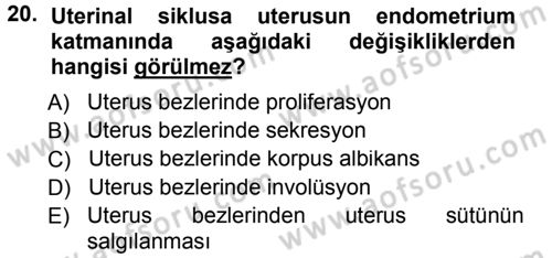 Temel Veteriner Histoloji ve Embriyoloji Dersi 2012 - 2013 Yılı (Final) Dönem Sonu Sınav Soruları 20. Soru