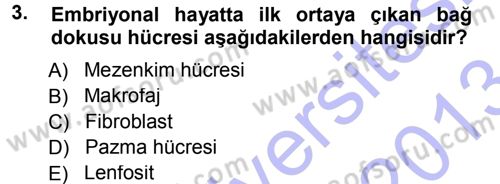 Temel Veteriner Histoloji ve Embriyoloji Dersi 2012 - 2013 Yılı (Final) Dönem Sonu Sınav Soruları 3. Soru