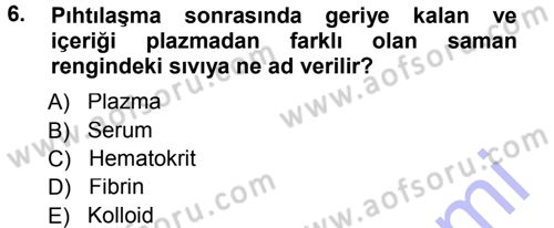 Temel Veteriner Histoloji ve Embriyoloji Dersi 2012 - 2013 Yılı (Final) Dönem Sonu Sınav Soruları 6. Soru
