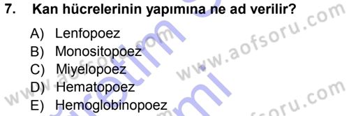 Temel Veteriner Histoloji ve Embriyoloji Dersi 2012 - 2013 Yılı (Final) Dönem Sonu Sınav Soruları 7. Soru