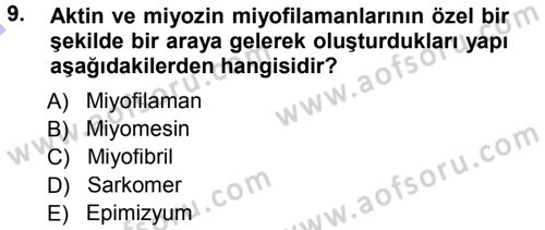 Temel Veteriner Histoloji ve Embriyoloji Dersi 2012 - 2013 Yılı (Final) Dönem Sonu Sınav Soruları 9. Soru