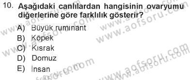 Temel Veteriner Histoloji ve Embriyoloji Dersi 2012 - 2013 Yılı Tek Ders Sınav Soruları 10. Soru