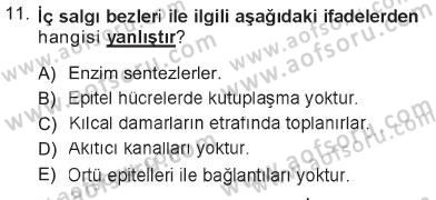 Temel Veteriner Histoloji ve Embriyoloji Dersi 2012 - 2013 Yılı Tek Ders Sınav Soruları 11. Soru