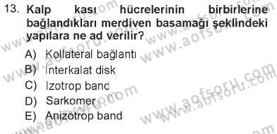 Temel Veteriner Histoloji ve Embriyoloji Dersi 2012 - 2013 Yılı Tek Ders Sınav Soruları 13. Soru