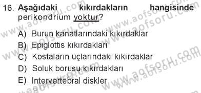 Temel Veteriner Histoloji ve Embriyoloji Dersi 2012 - 2013 Yılı Tek Ders Sınav Soruları 16. Soru