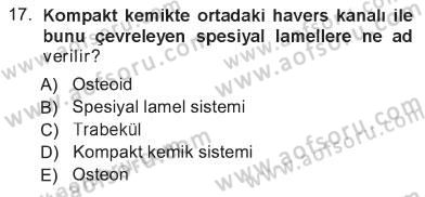 Temel Veteriner Histoloji ve Embriyoloji Dersi 2012 - 2013 Yılı Tek Ders Sınav Soruları 17. Soru