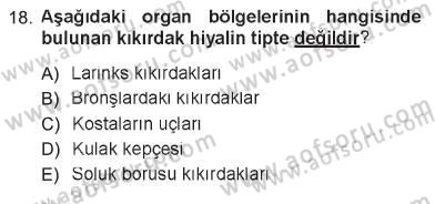 Temel Veteriner Histoloji ve Embriyoloji Dersi 2012 - 2013 Yılı Tek Ders Sınav Soruları 18. Soru