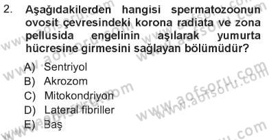 Temel Veteriner Histoloji ve Embriyoloji Dersi 2012 - 2013 Yılı Tek Ders Sınav Soruları 2. Soru