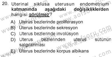 Temel Veteriner Histoloji ve Embriyoloji Dersi 2012 - 2013 Yılı Tek Ders Sınav Soruları 20. Soru