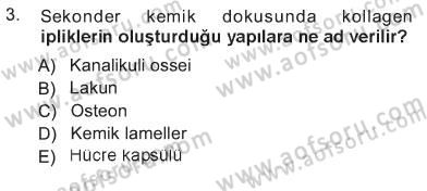 Temel Veteriner Histoloji ve Embriyoloji Dersi 2012 - 2013 Yılı Tek Ders Sınav Soruları 3. Soru