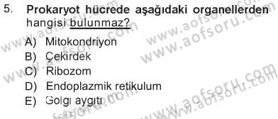 Temel Veteriner Histoloji ve Embriyoloji Dersi 2012 - 2013 Yılı Tek Ders Sınav Soruları 5. Soru