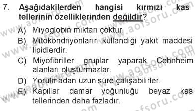 Temel Veteriner Histoloji ve Embriyoloji Dersi 2012 - 2013 Yılı Tek Ders Sınav Soruları 7. Soru