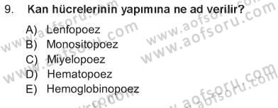 Temel Veteriner Histoloji ve Embriyoloji Dersi 2012 - 2013 Yılı Tek Ders Sınav Soruları 9. Soru