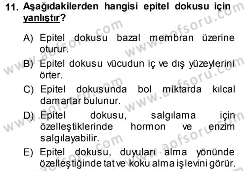 Temel Veteriner Histoloji ve Embriyoloji Dersi Ara Sınavı Deneme Sınav Soruları 11. Soru