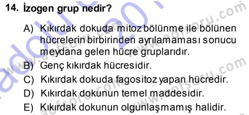 Temel Veteriner Histoloji ve Embriyoloji Dersi 2013 - 2014 Yılı (Vize) Ara Sınav Soruları 14. Soru
