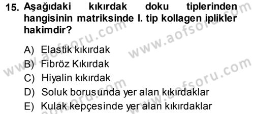 Temel Veteriner Histoloji ve Embriyoloji Dersi 2013 - 2014 Yılı (Vize) Ara Sınav Soruları 15. Soru