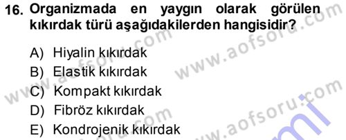 Temel Veteriner Histoloji ve Embriyoloji Dersi Ara Sınavı Deneme Sınav Soruları 16. Soru
