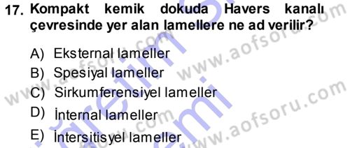 Temel Veteriner Histoloji ve Embriyoloji Dersi Ara Sınavı Deneme Sınav Soruları 17. Soru
