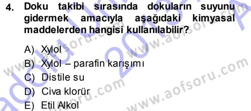 Temel Veteriner Histoloji ve Embriyoloji Dersi 2013 - 2014 Yılı (Vize) Ara Sınav Soruları 4. Soru