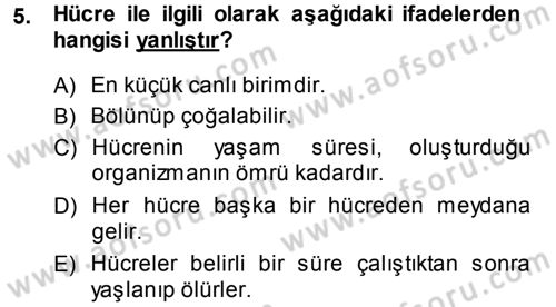 Temel Veteriner Histoloji ve Embriyoloji Dersi Ara Sınavı Deneme Sınav Soruları 5. Soru