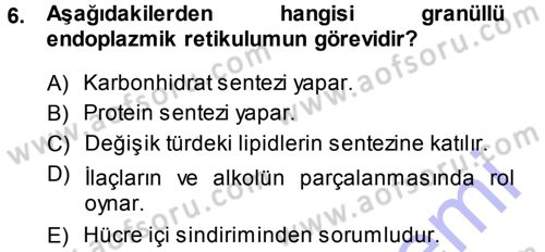Temel Veteriner Histoloji ve Embriyoloji Dersi Ara Sınavı Deneme Sınav Soruları 6. Soru