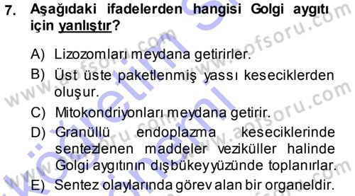 Temel Veteriner Histoloji ve Embriyoloji Dersi Ara Sınavı Deneme Sınav Soruları 7. Soru