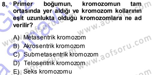 Temel Veteriner Histoloji ve Embriyoloji Dersi Ara Sınavı Deneme Sınav Soruları 8. Soru