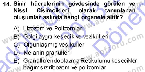 Temel Veteriner Histoloji ve Embriyoloji Dersi 2013 - 2014 Yılı (Final) Dönem Sonu Sınav Soruları 14. Soru